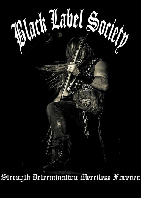 Download file sdmf.